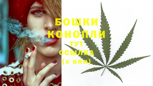 гашик Беломорск