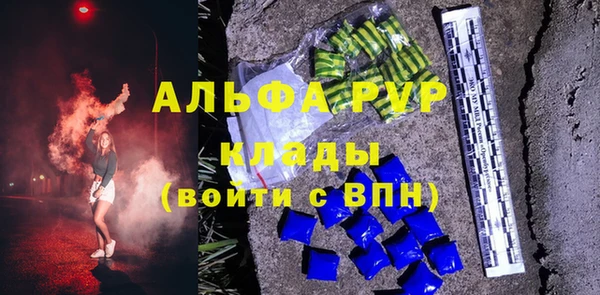 дживик Белокуриха