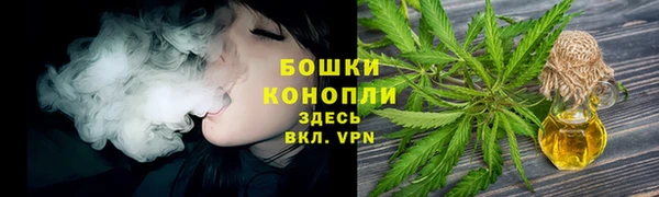 гидропоника Белоозёрский