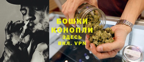дживик Белокуриха